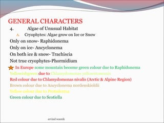 GENERAL CHARACTERS
4. Algae of Unusual Habitat
A. Cryophytes: Algae grow on Ice or Snow
Only on snow- Raphidonema
Only on ice- Ancyclonema
On both ice & snow- Trachiscia
Not true cryophytes-Phormidium
In Europe some mountain become green colour due to Raphidonema
Yellowishgreen due to Chlamydomonas yellowstonensis
Red colour due to Chlamydomonas nivalis (Arctic & Alpine Region)
Brown colour due to Ancyclonema nordenskioldii
Yellow colour due to Protoderma
Green colour due to Scotiella
arvind wasnik
 