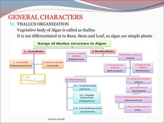 GENERAL CHARACTERS
III. THALLUS ORGANIZATION
Vegetative body of Algae is called as thallus
It is not differentiated in to Root, Stem and Leaf, so algae are simple plants
arvind wasnik
 