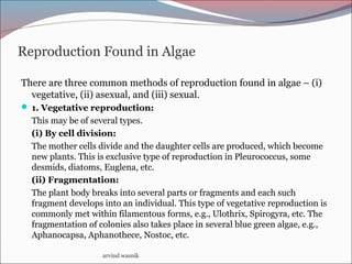 Reproduction Found in Algae
There are three common methods of reproduction found in algae – (i)
vegetative, (ii) asexual, and (iii) sexual.
 1. Vegetative reproduction:
This may be of several types.
(i) By cell division:
The mother cells divide and the daughter cells are produced, which become
new plants. This is exclusive type of reproduction in Pleurococcus, some
desmids, diatoms, Euglena, etc.
(ii) Fragmentation:
The plant body breaks into several parts or fragments and each such
fragment develops into an individual. This type of vegetative reproduction is
commonly met within filamentous forms, e.g., Ulothrix, Spirogyra, etc. The
fragmentation of colonies also takes place in several blue green algae, e.g.,
Aphanocapsa, Aphanothece, Nostoc, etc.
arvind wasnik
 