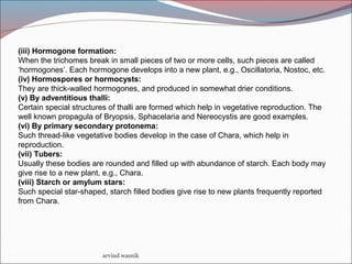 arvind wasnik
(iii) Hormogone formation:
When the trichomes break in small pieces of two or more cells, such pieces are called
‘hormogones’. Each hormogone develops into a new plant, e.g., Oscillatoria, Nostoc, etc.
(iv) Hormospores or hormocysts:
They are thick-walled hormogones, and produced in somewhat drier conditions.
(v) By adventitious thalli:
Certain special structures of thalli are formed which help in vegetative reproduction. The
well known propagula of Bryopsis, Sphacelaria and Nereocystis are good examples.
(vi) By primary secondary protonema:
Such thread-like vegetative bodies develop in the case of Chara, which help in
reproduction.
(vii) Tubers:
Usually these bodies are rounded and filled up with abundance of starch. Each body may
give rise to a new plant, e.g., Chara.
(viii) Starch or amylum stars:
Such special star-shaped, starch filled bodies give rise to new plants frequently reported
from Chara.
 