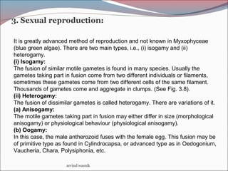 arvind wasnik
It is greatly advanced method of reproduction and not known in Myxophyceae
(blue green algae). There are two main types, i.e., (i) isogamy and (ii)
heterogamy.
(i) Isogamy:
The fusion of similar motile gametes is found in many species. Usually the
gametes taking part in fusion come from two different individuals or filaments,
sometimes these gametes come from two different cells of the same filament.
Thousands of gametes come and aggregate in clumps. (See Fig. 3.8).
(ii) Heterogamy:
The fusion of dissimilar gametes is called heterogamy. There are variations of it.
(a) Anisogamy:
The motile gametes taking part in fusion may either differ in size (morphological
anisogamy) or physiological behaviour (physiological anisogamy).
(b) Oogamy:
In this case, the male antherozoid fuses with the female egg. This fusion may be
of primitive type as found in Cylindrocapsa, or advanced type as in Oedogonium,
Vaucheria, Chara, Polysiphonia, etc.
 