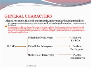 GENERAL CHARACTERS
Algae are simple, thalloid, autotrophic, non vascular having unicell sex
organs (exception multicellular sex organ in Chara) and no embryo formation (embryo 1st
forms in
Bryophyta)
In algae embryo did not formed because of zygotic meiosis. Due to zygotic meiosis haploid nuclei
are formed which further grow in to the new plants. Algae generally are Haploid in nature and for
very little duration diploid stage comes in the form of zygote. (If mitosis occurs in zygote results in
the formation of Embryo)
Unicellular Prokaryotes Monera
Ex: BGA
ALGAE Unicellular Eukaryotes Protista
Ex: Euglena
Multicellular Eukaryotes Plantae
Ex: Spirogyra
arvind wasnik
 