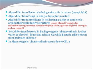 Algae differ from Bacteria in being eukaryotic in nature (except BGA)
Algae differ from Fungi in being autotrophic in nature
Algae differ from Bryophytes in not having a jacket of sterile cells
around their reproductive structures (except Chara, Bryophytes has
multicelled sex organ covered by sterile cell jacket while Algae has single cell sex organ
and are exposed)
BGA differ from bacteria in having oxygenic photosynthesis, it takes
water as electron donor and release O2 while Bacteria take electron
from hydrogen sulphide
In Algae oxygenic photosynthesis occurs due to Chl. a
arvind wasnik
 