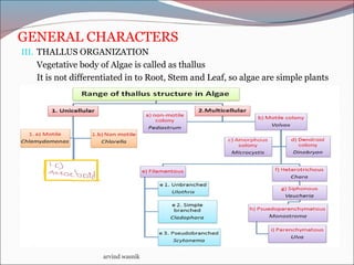 GENERAL CHARACTERS
III. THALLUS ORGANIZATION
Vegetative body of Algae is called as thallus
It is not differentiated in to ...