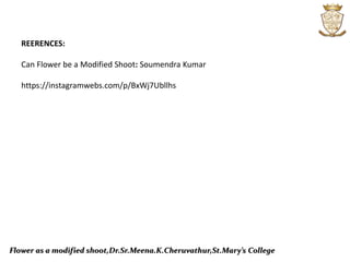 Flower as a modified shoot,Dr.Sr.Meena.K.Cheruvathur,St.Mary’s College
REERENCES:
Can Flower be a Modified Shoot: Soumendra Kumar
https://instagramwebs.com/p/BxWj7Ubllhs
 