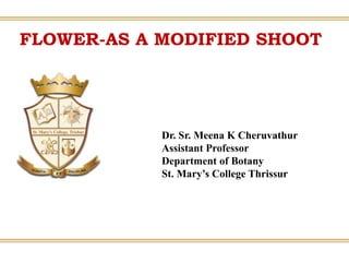 FLOWER-AS A MODIFIED SHOOT
Dr. Sr. Meena K Cheruvathur
Assistant Professor
Department of Botany
St. Mary’s College Thrissur
 