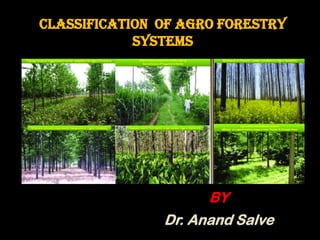 Classification of Agro forestry
systems
BY
Dr. Anand Salve
 