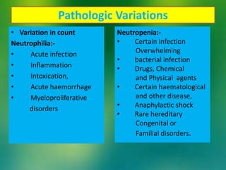 Pathologic Variations
• Variation in count
Neutrophilia:-
• Acute infection
• Inflammation
• Intoxication,
• Acute haemorrhage
• Myeloproliferative
disorders
Neutropenia:-
• Certain infection
Overwhelming
• bacterial infection
• Drugs, Chemical
and Physical agents
• Certain haematological
and other disease,
• Anaphylactic shock
• Rare hereditary
Congenital or
Familial disorders.
 
