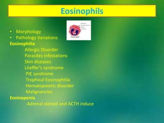 Eosinophils
• Morphology
• Pathology Variations
Eosinophilia
Allergic Disorder
Parasites infestations
Skin diseases
Lӧeffer’s syndrome
PIE syndrome
Trophical Eosinophilia
Hematopoietic disorder
Malignancies
Eosinopenia
Adrenal steroid and ACTH induce
 