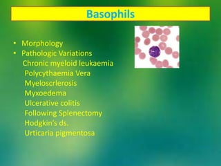 Basophils
• Morphology
• Pathologic Variations
Chronic myeloid leukaemia
Polycythaemia Vera
Myeloscrlerosis
Myxoedema
Ulcerative colitis
Following Splenectomy
Hodgkin’s ds.
Urticaria pigmentosa
 