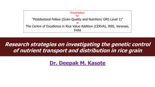 Research strategies on investigating the genetic control
of nutrient transport and distribution in rice grain
Dr. Deepak M. Kasote
Presentation
for
“Postdoctoral Fellow (Grain Quality and Nutrition/ GRS Level 1)”
at
The Centre of Excellence in Rice Value Addition (CERVA), IRRI, Varanasi,
India
 