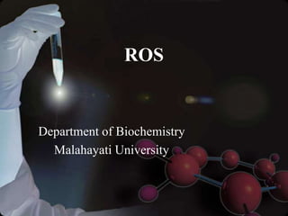 ROS
Department of Biochemistry
Malahayati University
 
