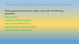 Plant tissue culture techniques | PPTX