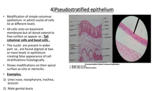 Dr.maria shahzad histology | PPT