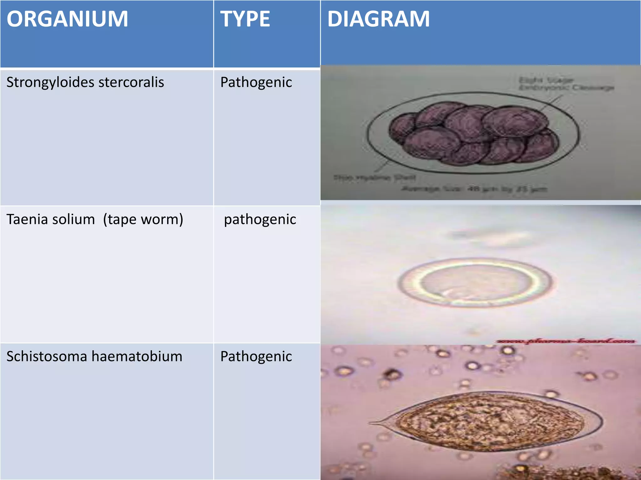 Stool Examination for Routine Practice | PPTX