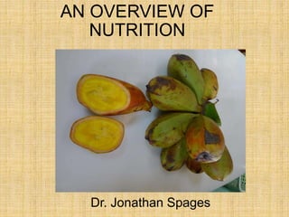 AN OVERVIEW OF
NUTRITION
Dr. Jonathan Spages
 