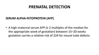 Neural Tube Defects for Undergraduate Medical Students | PPTX