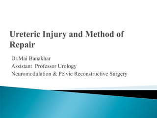Dr.Mai Banakhar
Assistant Professor Urology
Neuromodulation & Pelvic Reconstructive Surgery
 
