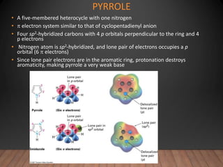 PYRROLE
• A five-membered heterocycle with one nitrogen
•  electron system similar to that of cyclopentadienyl anion
• Four sp2-hybridized carbons with 4 p orbitals perpendicular to the ring and 4
p electrons
• Nitrogen atom is sp2-hybridized, and lone pair of electrons occupies a p
orbital (6  electrons)
• Since lone pair electrons are in the aromatic ring, protonation destroys
aromaticity, making pyrrole a very weak base
 