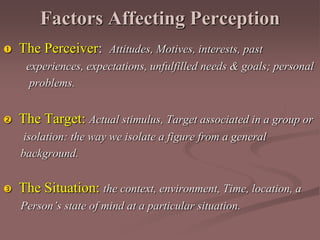 Perceiver Target Perception | PPT