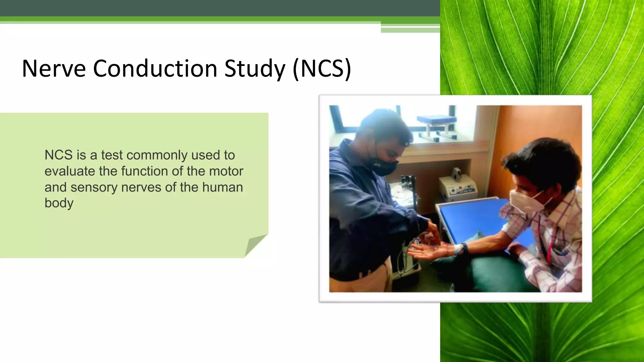 Fundamentals Of Nerve Conduction Studies And Its Interpretations Pptx