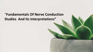 “Fundamentals Of Nerve Conduction
Studies And Its Interpretations”
 