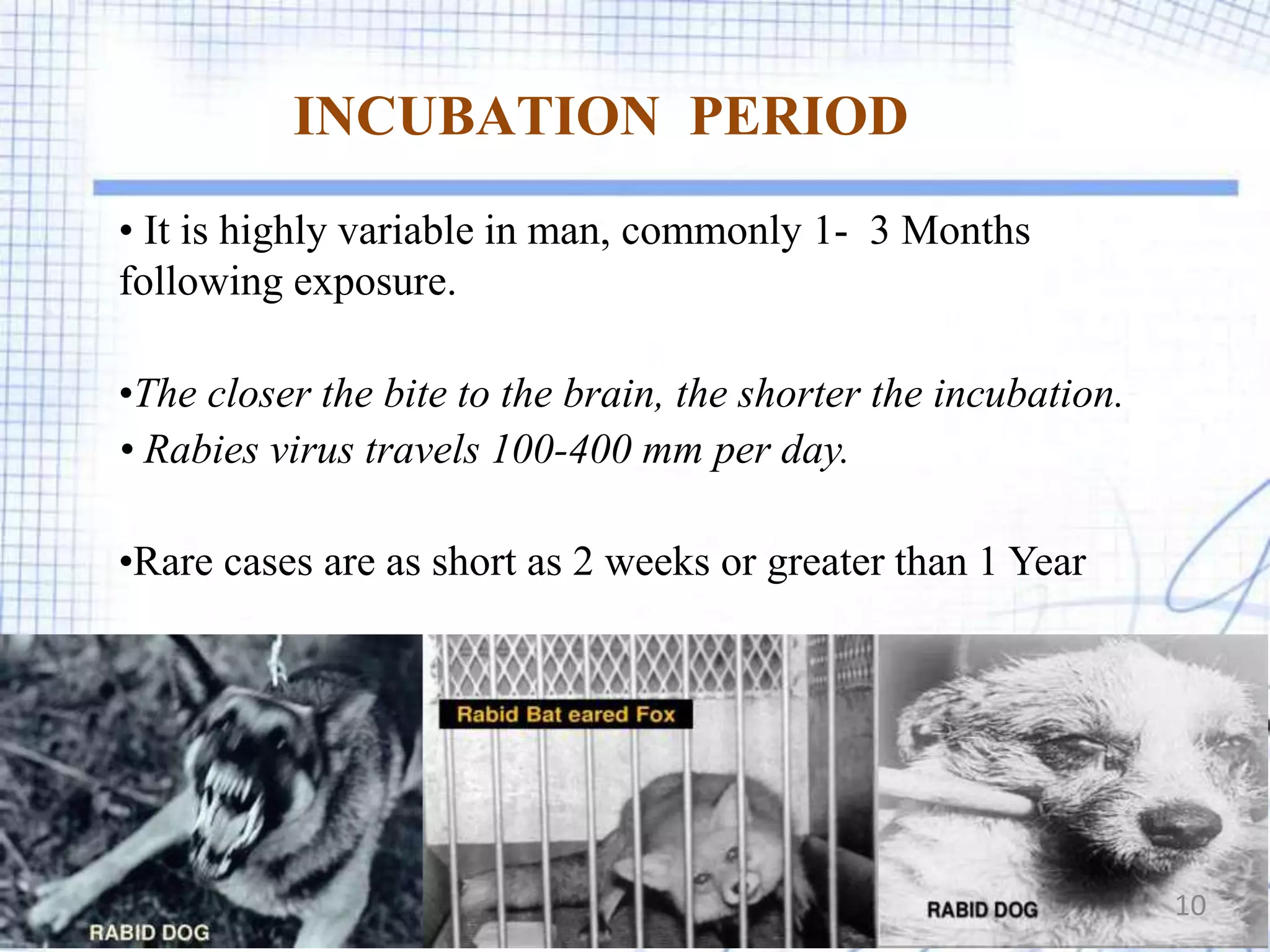 Dr.k yashoda rabies presentation | PPTX