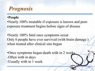 Prognosis
•People
•Nearly 100% treatable if exposure is known and post-
exposure treatment begins before signs of disease
•Nearly 100% fatal once symptoms occur
Only 6 people have ever survived (with brain damage )
when treated after clinical sins began
•Once symptoms began death with in 2 weeks
-Often with in days
-Usually with in 1 week
20
 
