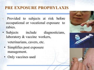 PRE EXPOSURE PROPHYLAXIS
• Provided to subjects at risk before
occupational or vocational exposure to
rabies.
• Subjects include diagnosticians,
laboratory & vaccine workers,
veterinarians, cavers, etc.
• Simplifies post exposure
management.
• Only vaccines used
.
23
 