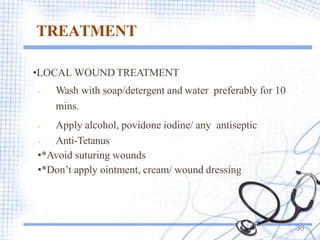 TREATMENT
•LOCAL WOUND TREATMENT
- Wash with soap/detergent and water preferably for 10
mins.
- Apply alcohol, povidone iodine/ any antiseptic
- Anti-Tetanus
•*Avoid suturing wounds
•*Don’t apply ointment, cream/ wound dressing
30
 