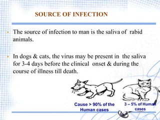 SOURCE OF INFECTION
 The source of infection to man is the saliva of rabid
animals.
 In dogs & cats, the virus may be present in the saliva
for 3-4 days before the clinical onset & during the
course of illness till death.
3 – 5% of Human
cases
Cause > 90% of the
Human cases
 