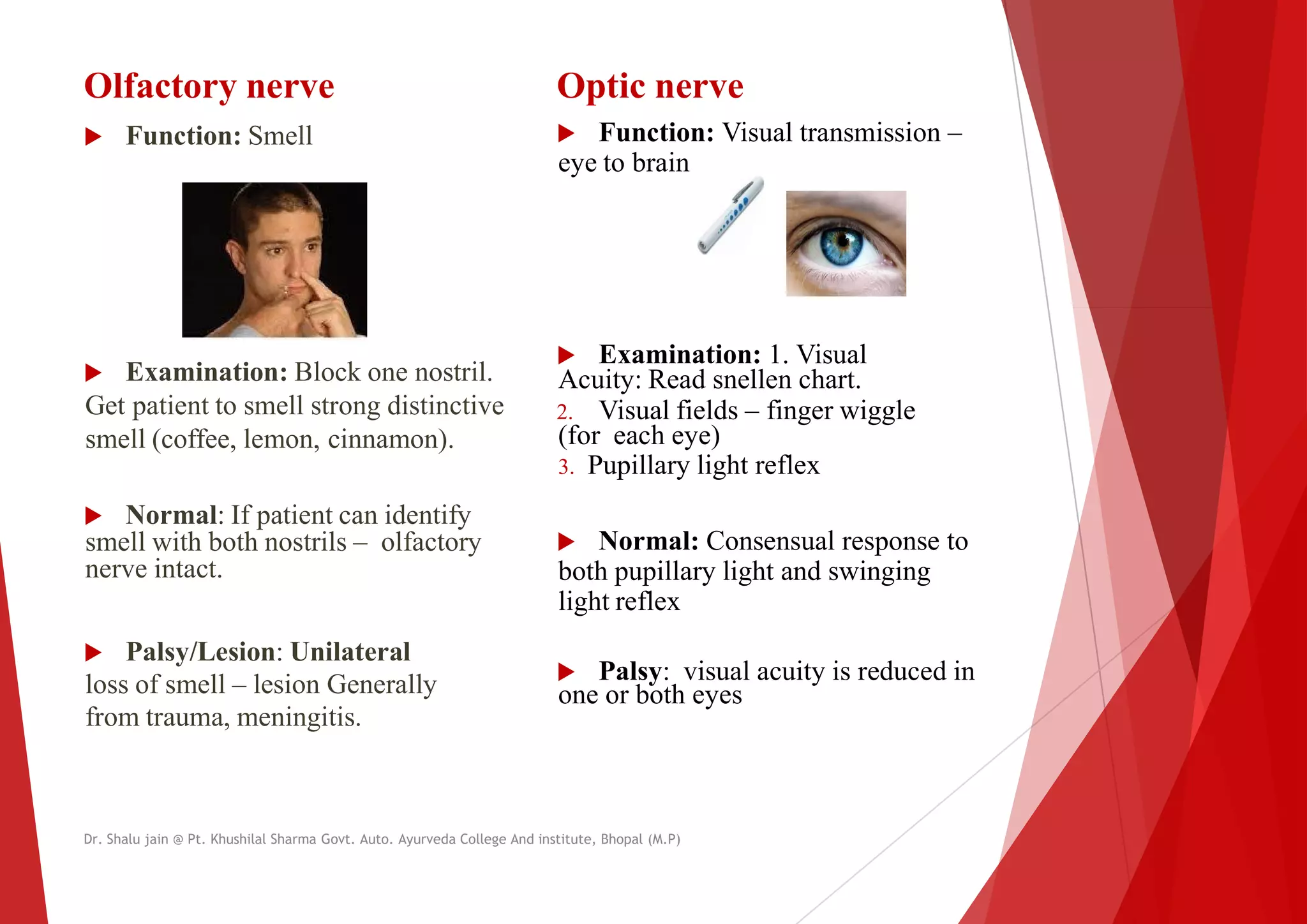 Olfactory nerve
 Function: Smell
Optic nerve
 Function:
eye to brain
 Examination: Block one nostril.
Get patient to smell strong distinctive
smell (coffee, lemon, cinnamon).
 Normal: If patient can identify
smell with both nostrils – olfactory
nerve intact.
 Examination:
Acuity: Read
2. Visual
(for each
3. Pupillary
 Normal:
both pupillary
light reflex
 Palsy/Lesion: Unilateral
loss of smell – lesion Generally
from trauma, meningitis.
light reflex
 Palsy
one or both
Dr. Shalu jain @ Pt. Khushilal Sharma Govt. Auto. Ayurveda College And institute, Bhopal (M.P)
Optic nerve
Function: Visual transmission –
brain
Examination: 1. Visual
Read snellen chart.
Visual fields – finger wiggle
each eye)
Pupillary light reflex
Normal: Consensual response to
pupillary light and swinging
reflex
reflex
Palsy: visual acuity is reduced in
one or both eyes
Dr. Shalu jain @ Pt. Khushilal Sharma Govt. Auto. Ayurveda College And institute, Bhopal (M.P)
 