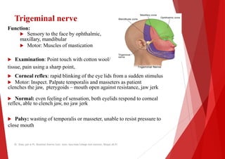 Trigeminal nerve
Function:
 Sensory to the face by ophthalmic,
maxillary, mandibular
 Motor: Muscles of mastication
 Examination: Point touch with cotton wool/
tissue, pain using a sharp point,
 Corneal reflex: rapid blinking of the eye lids
 Motor: Inspect. Palpate temporalis and masseters
clenches the jaw, pterygoids – mouth open against resistance, jaw
 Normal: even feeling of sensation, both eyelids
reflex, able to clench jaw, no jaw jerk
reflex, able to clench jaw, no jaw jerk
 Palsy: wasting of temporalis or masseter, unable
close mouth
Dr. Shalu jain @ Pt. Khushilal Sharma Govt. Auto. Ayurveda College And institute, Bhopal (M.P)
lids from a sudden stimulus
masseters as patient
mouth open against resistance, jaw jerk
eyelids respond to corneal
unable to resist pressure to
Dr. Shalu jain @ Pt. Khushilal Sharma Govt. Auto. Ayurveda College And institute, Bhopal (M.P)
 