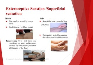Exteroceptive Senstion /Superficial
sensation
Touch
 Fine touch – tested by cotton
Pain
 Superficial pain:
 Fine touch – tested by cotton
wool
 Crude touch – by blunt object
Temperature Two test tubes one
containing hot water and the other
 Superficial pain:
pin prick
 Deep pain :
the calves,
containing hot water and the other
crushed ice is taken and placed on
all the parts of the body
Dr. Shalu jain @ Pt. Khushilal Sharma Govt. Auto. Ayurveda College And institute, Bhopal (M.P)
/Superficial
Superficial pain:- tested with a
Superficial pain:- tested with a
pin prick
Deep pain :- tested by pressing
the calves, tendo achilis or testis.
Dr. Shalu jain @ Pt. Khushilal Sharma Govt. Auto. Ayurveda College And institute, Bhopal (M.P)
 