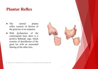 Plantar Reflex
 The normal plantar
 The normal plantar
reflex consists of flexion of
the great toe or no response.
 With dysfunction of the
corticospinal tract, there is a
positive Babinski sign, which
consists of dorsiflexion of the
great toe with an associated
fanning of the other toes.
fanning of the other toes.
Dr. Shalu jain @ Pt. Khushilal Sharma Govt. Auto. Ayurveda College And institute, Bhopal (M.P)
Dr. Shalu jain @ Pt. Khushilal Sharma Govt. Auto. Ayurveda College And institute, Bhopal (M.P)
 