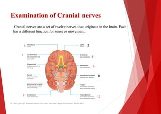 Examination of Cranial nerves
Cranial nerves are a set of twelve nerves that
has a different function for sense or movement
1.
3
11
Dr. Shalu jain @ Pt. Khushilal Sharma Govt. Auto. Ayurveda College And institute, Bhopal (M.P)
Examination of Cranial nerves
that originate in the brain. Each
movement.
2
8
4
6
8
12
Dr. Shalu jain @ Pt. Khushilal Sharma Govt. Auto. Ayurveda College And institute, Bhopal (M.P)
 
