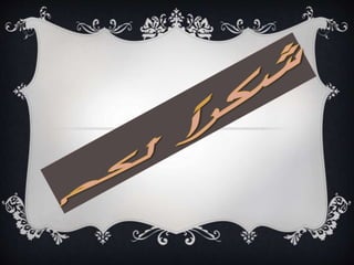 د.عادل عيسى الوزني