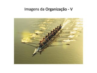 Imagens da Organização - V
 