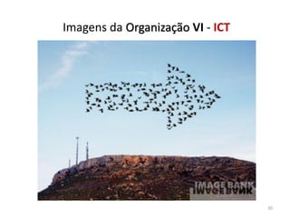 Imagens da Organização VI - ICT
30
 