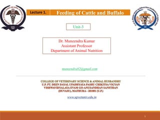 www.upvetuniv.edu.in
Dr. Muneendra Kumar
Assistant Professor
Department of Animal Nutrition
1
muneendra82@gmail.com
Lecture 1. Feeding of Cattle and Buffalo
Unit-3
 
