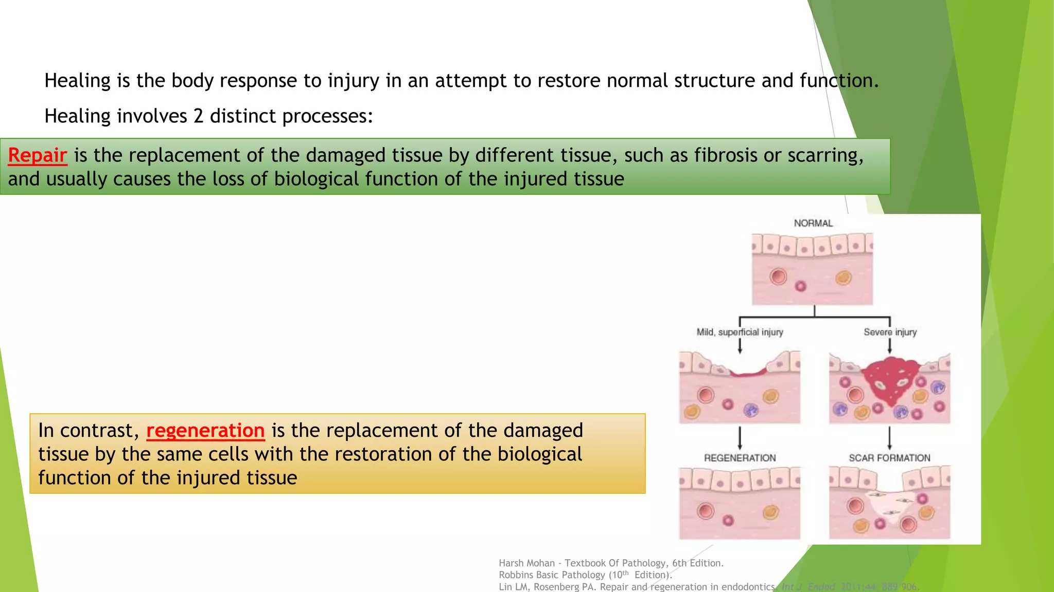 wound healing seminar | PPTX