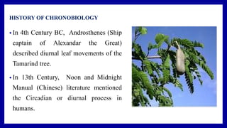 HISTORY OF CHRONOBIOLOGY
• In 4th Century BC, Androsthenes (Ship
captain of Alexandar the Great)
described diurnal leaf movements of the
Tamarind tree.
• In 13th Century, Noon and Midnight
Manual (Chinese) literature mentioned
the Circadian or diurnal process in
humans.
 