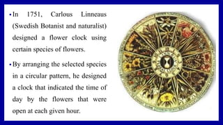 • In 1751, Carlous Linneaus
(Swedish Botanist and naturalist)
designed a flower clock using
certain species of flowers.
• By arranging the selected species
in a circular pattern, he designed
a clock that indicated the time of
day by the flowers that were
open at each given hour.
 