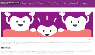 Permanent Teeth: The Tooth Eruption Process