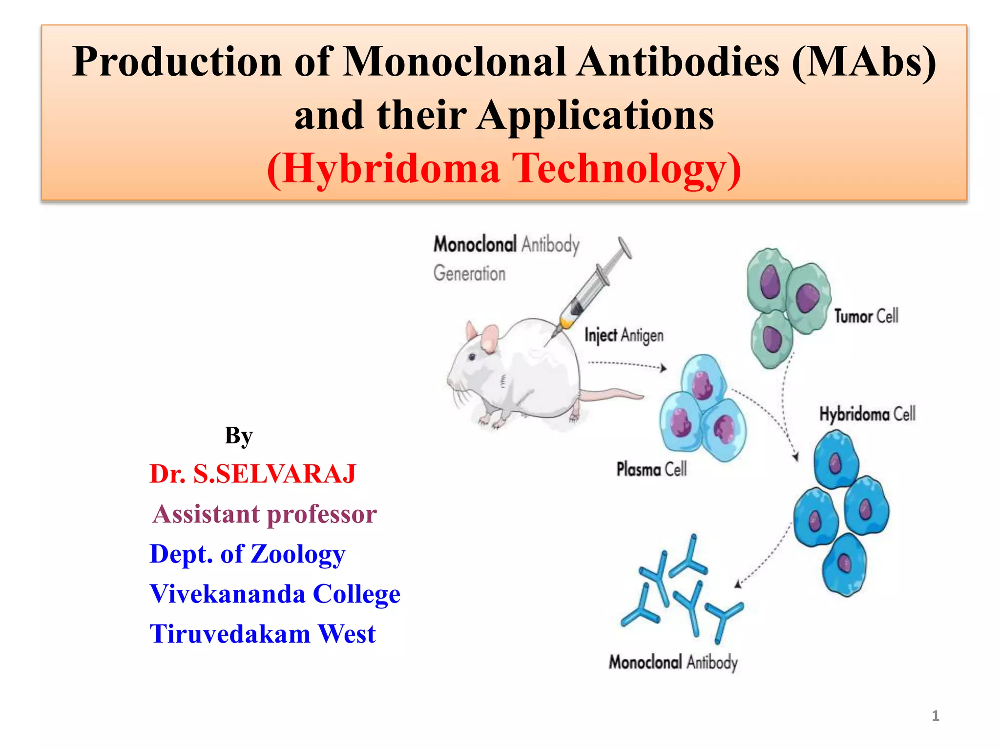 Monoclonal Antibodies and their applications | PPTX