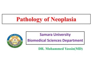 Samara University
Biomedical Sciences Department
Pathology of Neoplasia
DR. Mohammed Yassin(MD)
 