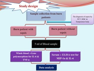 Sample collection from burn
patients
Burn patient with
sepsis
5 ml of Blood sample
Serum :- ELISA test for
MIP-1α & IL-6
Whole blood :-Gene
polymorphism for IL-6 &
TNF-α
Data analysis
The diagnosis of sepsis by
PCT ,WBC &
Temperature body
Burn patient without
sepsis
Study design
 