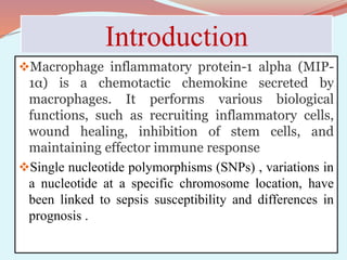 Introduction
Macrophage inflammatory protein-1 alpha (MIP-
1α) is a chemotactic chemokine secreted by
macrophages. It performs various biological
functions, such as recruiting inflammatory cells,
wound healing, inhibition of stem cells, and
maintaining effector immune response
Single nucleotide polymorphisms (SNPs) , variations in
a nucleotide at a specific chromosome location, have
been linked to sepsis susceptibility and differences in
prognosis .
 