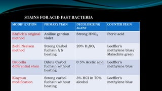 Basics of gram staining | PPTX