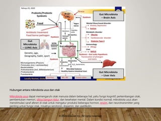Otsk Inj dr. Yeni-2.ppt